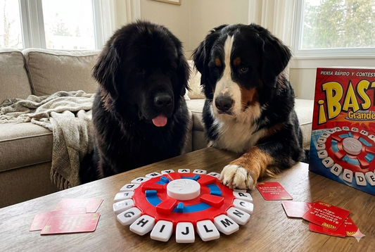 Juego De Mesa ¡Basta! Piensa Rápido